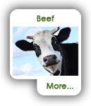 Beef