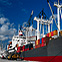 Shipping Agents